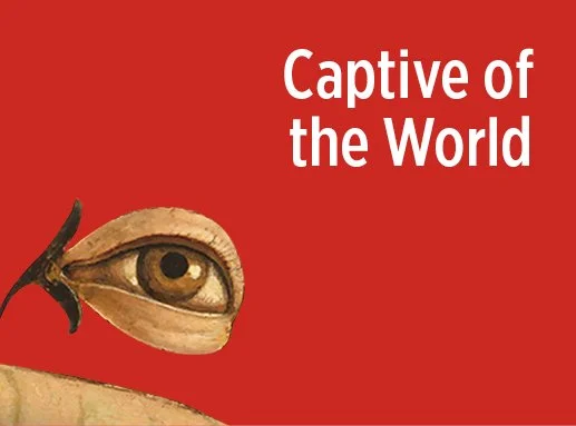 From the Power of Gaze to the Gaze of Power